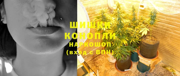 гашик Бронницы